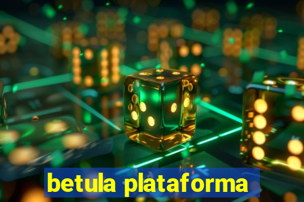 betula plataforma